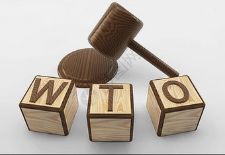 WTO��ó���йص�֪ʶ��ȨЭ����V��